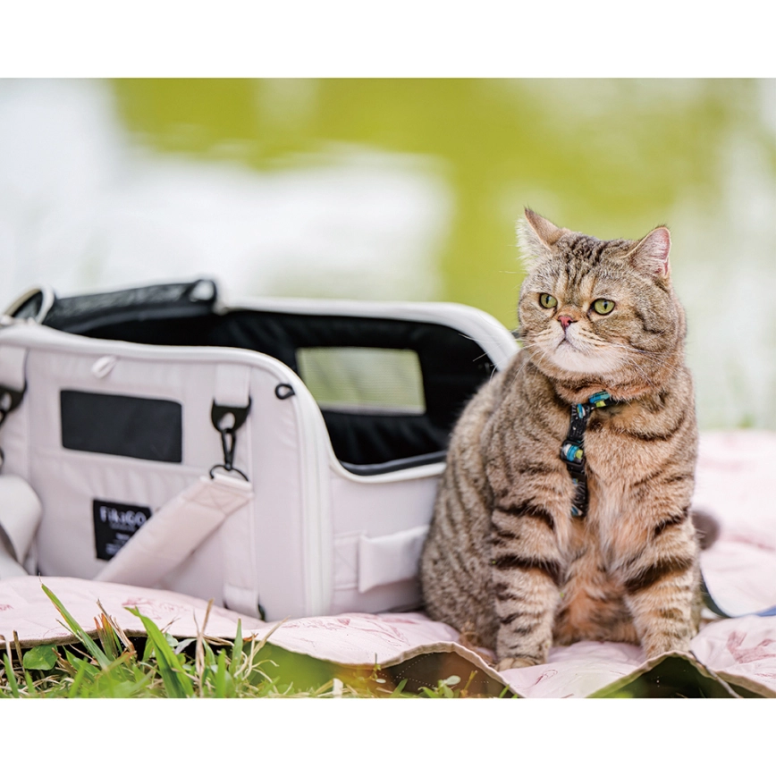 FIKAGO  REISDRAAGTAS VOOR HONDEN EN KATTEN TRUFFLE CREAMY CLOUD