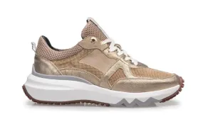 Floris van Bommel SFW-10111
